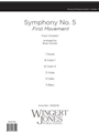 Symphony No. 5 1st Movement