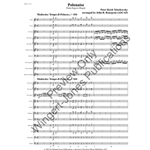 Polonaise from Eugene Onegin