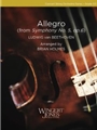 Allegro (from Symphony No. 5, op. 67)