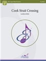 Cook Strait Crossing