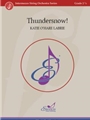 Thundersnow!