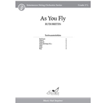 As You Fly