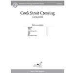 Cook Strait Crossing