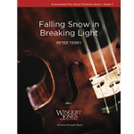 Falling Snow in Breaking Light