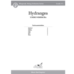 Hydrangea