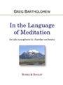 In the Language of Meditation (orchestra)