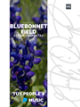 Bluebonnet Field