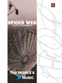 Spider Web