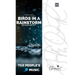 Birds in a Rainstorm