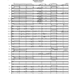Reginhard Variations Orch