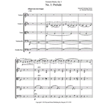 Fantasie-Stucke Op.5