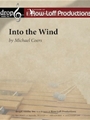 Into the Wind