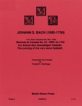 Sinfonia from Canata No 42  BWV 42