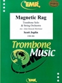Magnetic Rag