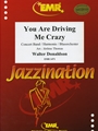 You Are Driving Me Crazy