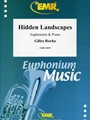 Hidden Landscapes