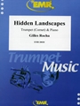 Hidden Landscapes