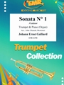 Sonata # 1 in A minor