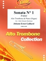 Sonata # 1 in D minor