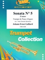 Sonata # 5 in D minor