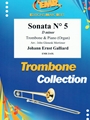 Sonata # 5 in D minor