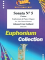 Sonata # 5 in D minor