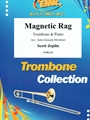 Magnetic Rag