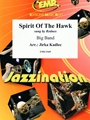 Spirit Of The Hawk