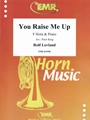 You Raise Me Up