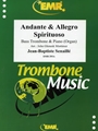 Andante & Allegro Spirituoso