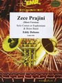Zece Prajini