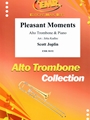 Pleasant Moments