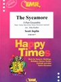 The Sycamore