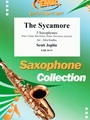 The Sycamore