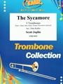 The Sycamore