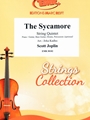 The Sycamore