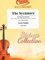 The Sycamore