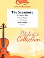 The Sycamore