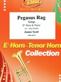 Pegasus Rag