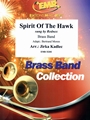 Spirit Of The Hawk