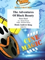 The Adventures Of Black Beauty