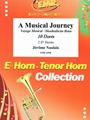 A Musical Journey