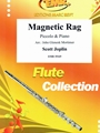 Magnetic Rag