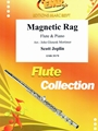 Magnetic Rag