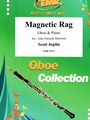 Magnetic Rag