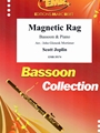 Magnetic Rag