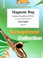 Magnetic Rag