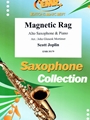 Magnetic Rag