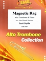 Magnetic Rag
