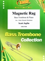 Magnetic Rag